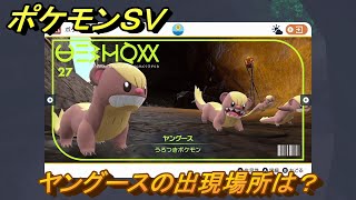 ポケモンＳＶ　ヤングースの出現場所は？図鑑No.２７　ポケモン図鑑を埋めよう！　【スカーレット・バイオレット】