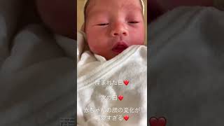 【新生児】出産当日と次の日の赤ちゃんの顔の変化が可愛い #cutebaby #cute