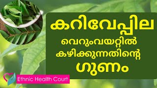 കറിവേപ്പില രാവിലെ വെറും വയറ്റിൽ കഴിച്ചാൽ |  Benefits of Curry Leaves | Ethnic Health Court