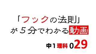 中1理科　フックの法則