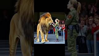 Big lion kissed a military woman #lion