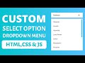 Custom select menu dropdown in MTML, CSS & Javascript | custom select option css  | HA Codes