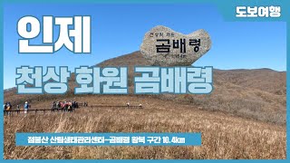 천상의 화원 인제 곰배령(1,164m) 걷기 가을여행