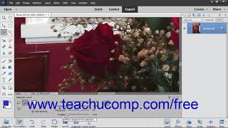 Photoshop Elements 2019 Tutorial The Magnetic Lasso Tool Adobe Training