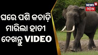 Sundargarh News|ଘରେ ପଶି କଚାଡ଼ି ମାରିଲା ହାତୀ, ଦେଖନ୍ତୁ Video| Elephant Attack|Sundargarh Elephant News