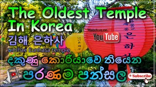 4K | The Oldest Temple In Korea | Gimhae Eunhasa Temple | 김해 은하사 | දකුණු කොරියාවෙ තියෙන පරණම පන්සල