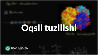 Oqsil tuzilishi | Uglerodning xususiyatlari | Biologiya | Khan Academy Oʻzbek