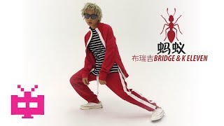 💥 GO$H MUSIC 💥 : 🐜 蚂蚁 🐜 布瑞吉 BRIDGE \u0026 K ELEVEN [ LYRIC VIDEO ]