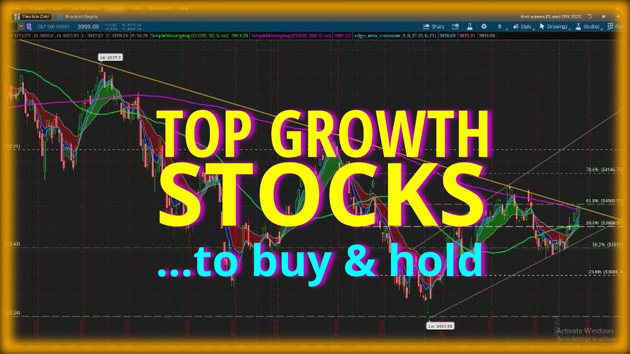 4 TOP GROWTH STOCKS TO BUY AND HOLD LONG TERM ...