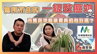 破解設計裝潢的都市傳說｜甲醛比你想的還要毒｜廠商好康大放送！直接現省2000元💰 Feat. #妙健除甲醛｜喬好物 ep.06｜優尼客設計