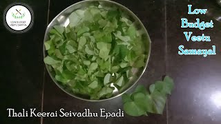 Thali keerai thouvutovadhu epadi|தாலிக்கீரை தொவுட்டுவது எப்படி?|HOW TO COOK IPOMEA SEPIARIA