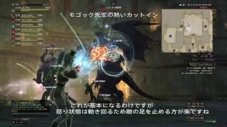 ［DDON］モゴック先生に弱体魔弓を付けるコツ［エレメントアーチャー］