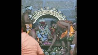 உற்சவர் #பெரியநாயகர் கும்பாபிஷேகம் #Virudhachalam Sri #Vriddhagiriswarar #MahaKumbhabhishekam