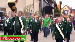 Festumzug zum Heimatfest 2013 | Obersteinach 09.06.2013