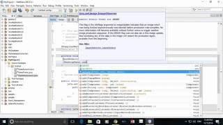 Netbeans MDI for Project Development