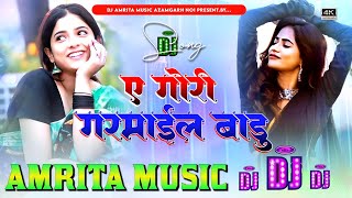 A gori garmail badu | Ritesh pandey | Instagram viral song | ए गोरी गरमाईल बाडु | dj Amrita music