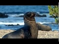 Galapagos hotels: Red Mangrove - Surtrek