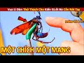 Mèo Mập Review Vua Lì Đòn Thử Thách Cho Kiến G.iết Bò Cắn Nát Tay Và Cái Kết Không Thể Tin Nổi