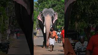 thiruvambadi chandrasekaran mass entry