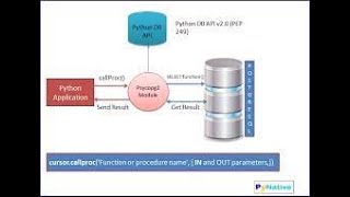 Python execute PostgreSQL function