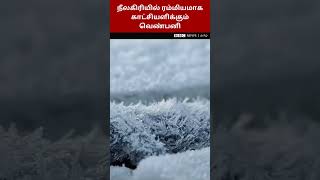 புற்களை மூடிய வெண்பனி: நீலகிரியில் பனிப்பொழிவு காட்சிகள் | Nilgris