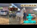 BABU LAL GURJAR EXPENSIVE HOBBIES || HORSE, XUV CAR, LOADING VEHICLE,SPORTS BIKES ||