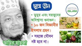 সুরা ত্বীনের আশ্চর্য্য তথ্য, ডুমুর এবং যয়তুন।। আমির হামজা।।