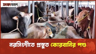 নরসিংদীতে প্রস্তুত কোরবানির পশু | Eid al-Adha | Narsingdi Cow Market | Songbad Prokash