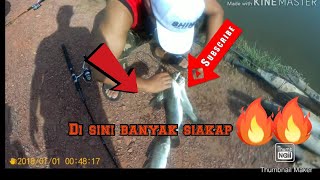 Gasak siakap cendoi strike barramundi