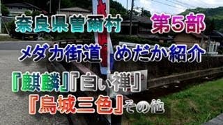 めだか街道『第5部』高級めだか紹介。『白禅』『麒麟』『めびなラメ』『サタン』その他