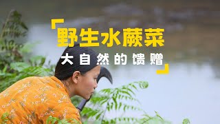 小河边长满了野生的水蕨菜，这是难得一见的美食，摘回去炒腊肉香