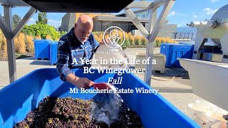 Mt Boucherie Estate Winery - Gamay \u0026 Carbonic Maceration FALL