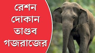 রেশন দোকান তাণ্ডব চালিয়ে শুঁড় দিয়ে চাল, গম, আটা খেল হাতি!