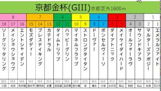 京都金杯2020のざっくり展開予想動画！