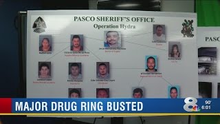 Pasco deputies bust major meth ring with widespread connections