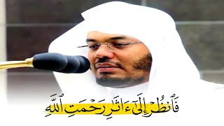 مقتطف خاشع للشيخ ياسر الدوسري ~ (فَانظُرْ إِلَىٰ آثَارِ رَحْمَتِ اللَّهِ )