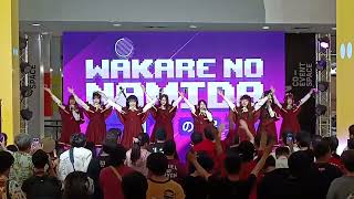 Wakare no Namida - Castella [Live at Aidoru Matsuri #14 19/01/2025]