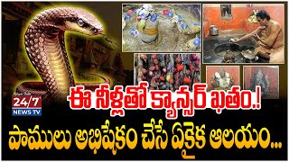 Special Story on Kishan Bagh Kashibugga Temple | Maha Shivaratri Special | Koluguri 24/7 News TV