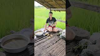 Lao girl preparing for cooking at rice field.  #laos #thailand #farming #food #southeastasia