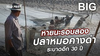 หายนะรอบสองปลาหมอคางดำระบาดอีก 30 ปี | Big Story เรื่องใหญ่ Thai PBS