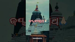 ନୂଆ ବର୍ଷ I ଜୟ ଜଗନ୍ନାଥ I New year #odisha #newyear  #happynewyear #Jagannath #odiasadhabapua #shorts