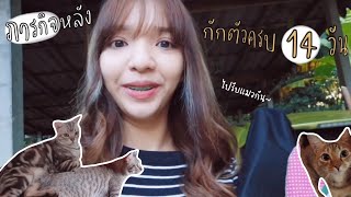 Half week Vlog กิจกรรมหลังกักตัวครบ 14 วัน! | ThismeSunBeam