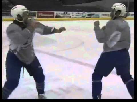 The Art of Hockey Fighting The Art of Hockey Fighting