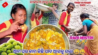 ଆମ ଘର କାମ କିଛି ପାଦ ଆଗକୁ ଗଲା 😀😀 || କାଙ୍କଡ଼ ଓ ଆଳୁ ତରକାରୀ || Rani Mistri 🤣🤣