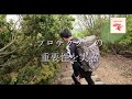 衝撃映像【岐阜県養老山・下山林道】後編。岐阜県上石津の林道へ入り、養老山、小倉山を目指します。オフロードバイク、林道ツーリング、セロー２５０、ttr、ヤマハバイク、林道バイク、ハプニング映像、オフ車