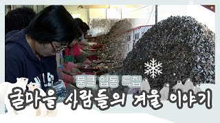 [뭉클 입동❄️ 특집] 겨울 통영 굴마을 사람들의 인생☃️ | KBS 다큐멘터리 3일 20111127 방송