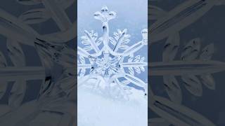 The Largest Snowflake Recorded [facts]