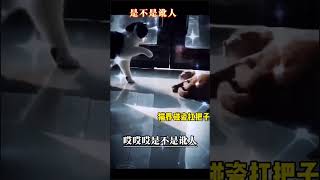 是不是讹人 #搞笑#shortvideo