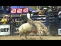 Juliano Antonio de Silva rides Short Go (PBR)