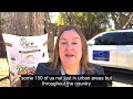 Zimbabwe 2023 EU EOM - 150 observers from the 27 EU member states deployed to observe election day